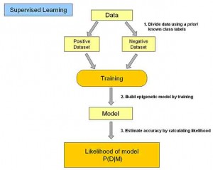 supervised-learning-300x239